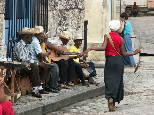 Havana 204