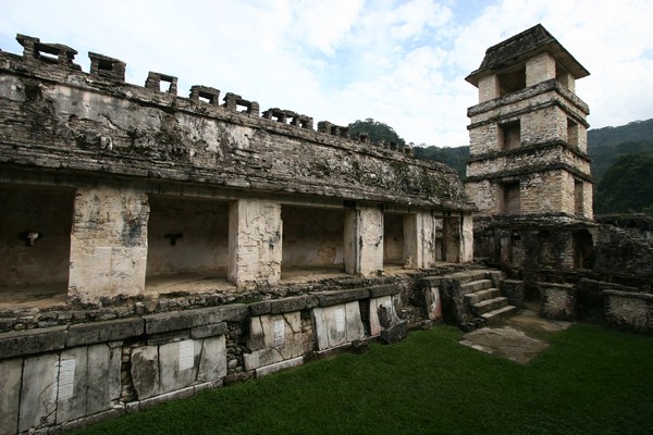 Palenque 411